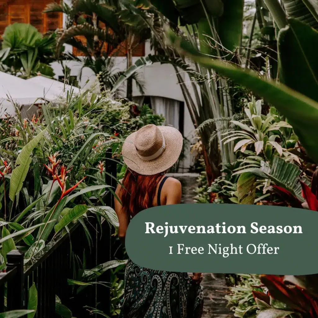 reef-house-rejuvenation-season-1-free-night-offer.jpg