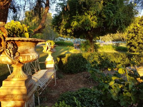 wedding_gardens_03_adelaide_hills-460×345-1